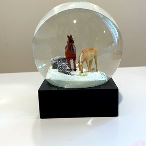 Snow globe with horses inside